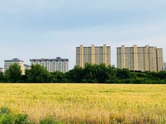 -汉长安城未央宫国家考古遗址公园