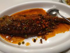 -一轩饺子馆(丽都店)
