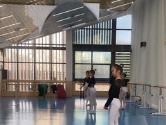 -西安小天鹅艺术团(曲江Alice店)