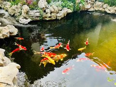 -鲤院·新中式美学·庭院餐厅(夫子庙店)
