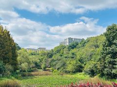 -观山湖公园