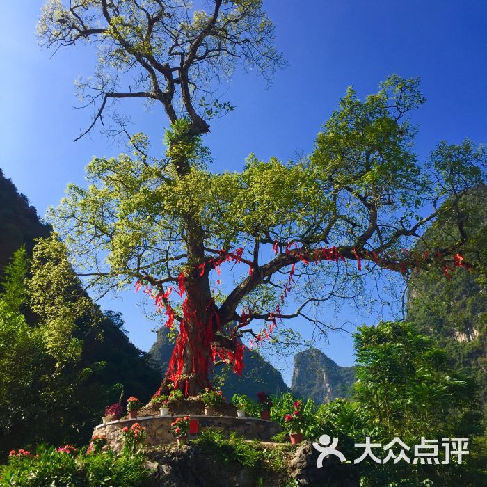 龙潭古寨-图片-阳朔县周边游-大众点评网