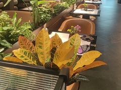 -半秋山西餐厅(巴南万达广场店)