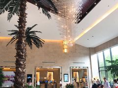 -常州环球恐龙城维景国际大酒店