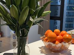 -循礼门鲜花花市(武汉循礼门店)