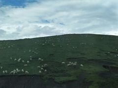 -扁都口生态休闲旅游区