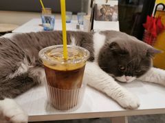 -22cafe