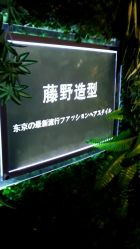 -藤野造型·专业烫染店