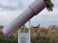 -荷兰花海