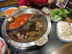 -大龙燚火锅(春熙店)