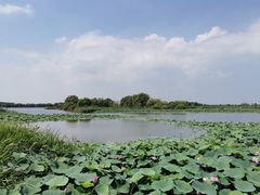 -白渔泡湿地公园