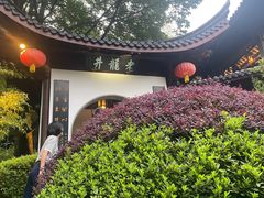 -十八棵（老龙井）御茶园(老龙井店)