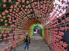 -河北村民俗体验园