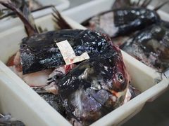 -雪野鱼头大王邢府公老店(雪野湖店)