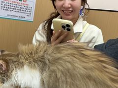 -瑞派康怡24h宠物医院·犬猫医疗中心·微创绝育(瑞景分院)