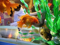 -粗粮人家·东北菜(洋桥店)