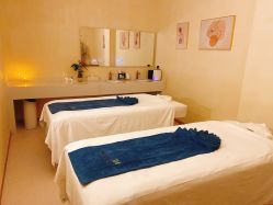 -隐逸SPA