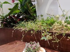 -Peet's Coffee皮爷咖啡(上海长风大悦城店)