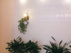 -碧莲盛·不剃发植发