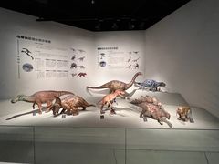 -自贡恐龙博物馆