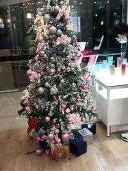 -意廊 Hair Salon