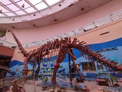 -陕西自然博物馆