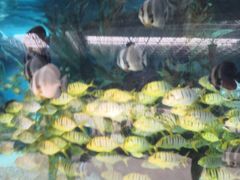 -波塞冬旅游度假区