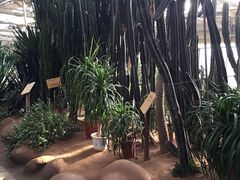 -北戴河集发农业梦想王国