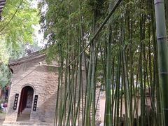 -罔极寺