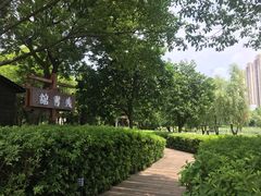 -艾溪湖湿地公园