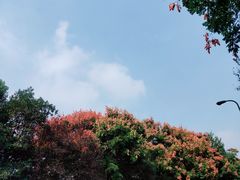 -西湖风景区十里琅珰-五云山