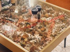 -PlantsEatery·植物食堂(REX春熙店)