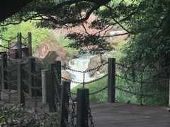 -赤水丹霞旅游区·大瀑布