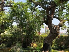 -Chom Cafe and Restaurant