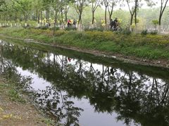 -东郊湿地公园