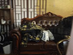 -剧狐剧本杀·月球探案馆(人民广场1号店)