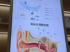 -自然之声助听器·呼吸机(康桥旗舰店)
