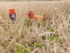 -渭河城市绿地运动公园