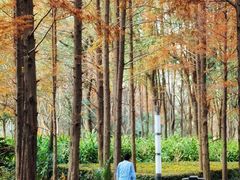 -苏州河梦清园环保主题公园