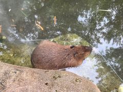 -北京野生动物园