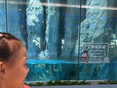 -帝企鹅自助餐厅•儿童岛•真企鹅(长隆企鹅酒店)