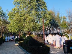 -天目湖涵田度假村