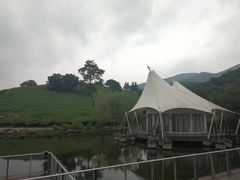 -帐篷客·溪龙茶谷度假酒店