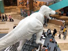 -大族广场Mall&More