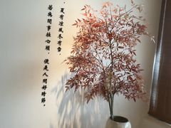 -小茶闲舍·观景商务茶馆(广州塔店)