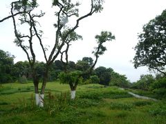 -张坝桂圆林公园