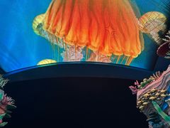 -珠海长隆海洋王国