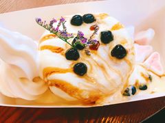 -狐狸和向日葵(北京路店)