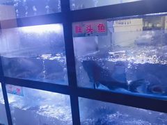 -匠岳·王宝器麻椒鱼(会展中心店)