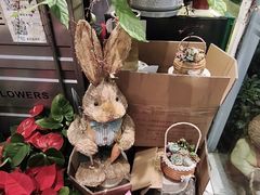 -FEI FEI FLOWER鲜花店·气球派对·宝宝宴布置(虹口德必运动Loft店)